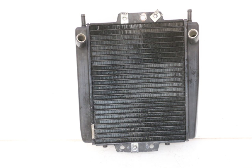 photo de RADIATEUR PIAGGIO MP3 RL 250 (2007 - 2010)