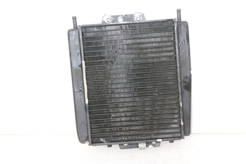 photo de RADIATEUR PIAGGIO MP3 RL 250 (2007 - 2010)