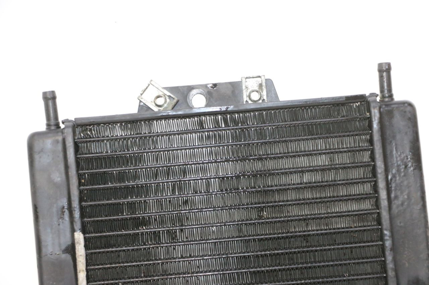 photo de RADIATEUR PIAGGIO MP3 RL 250 (2007 - 2010)