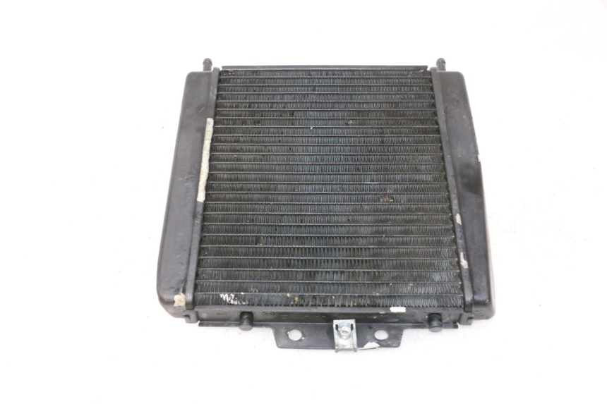photo de RADIATEUR PIAGGIO MP3 RL 250 (2007 - 2010)