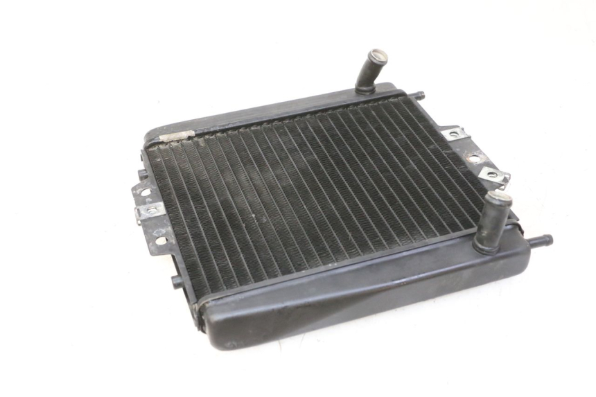 photo de RADIATEUR PIAGGIO MP3 RL 250 (2007 - 2010)