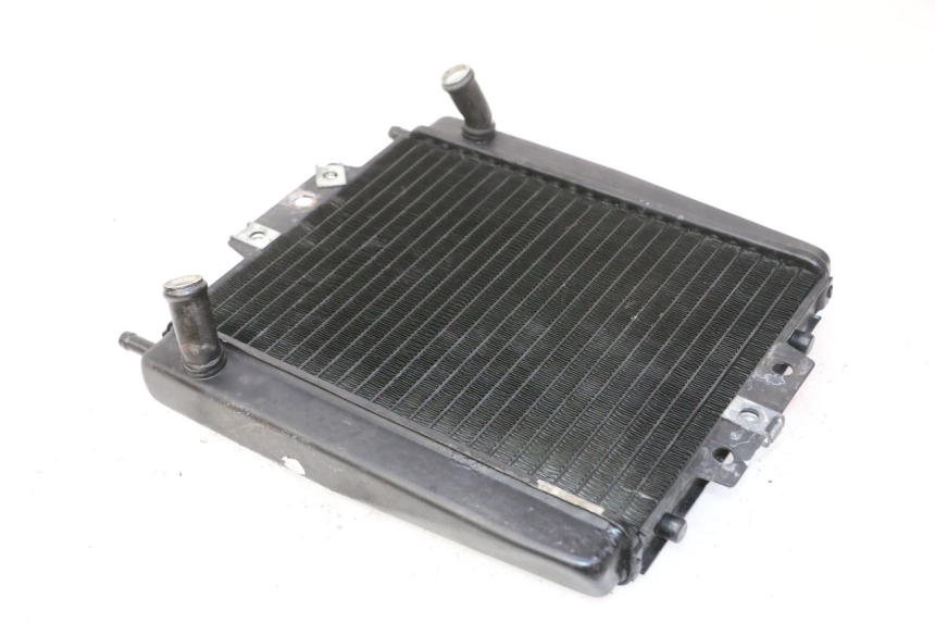 photo de RADIATEUR PIAGGIO MP3 RL 250 (2007 - 2010)