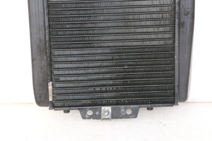 photo de RADIATEUR PIAGGIO MP3 RL 250 (2007 - 2010)