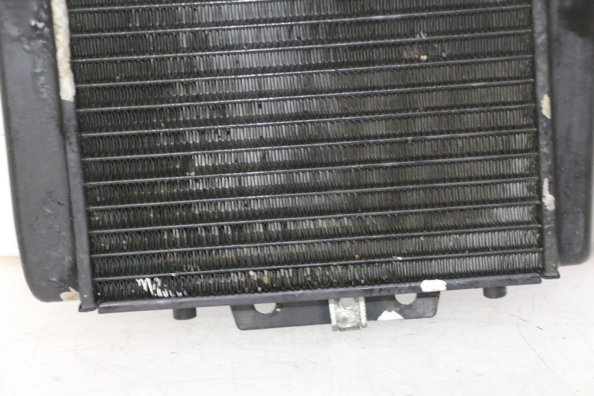 photo de RADIATEUR PIAGGIO MP3 RL 250 (2007 - 2010)
