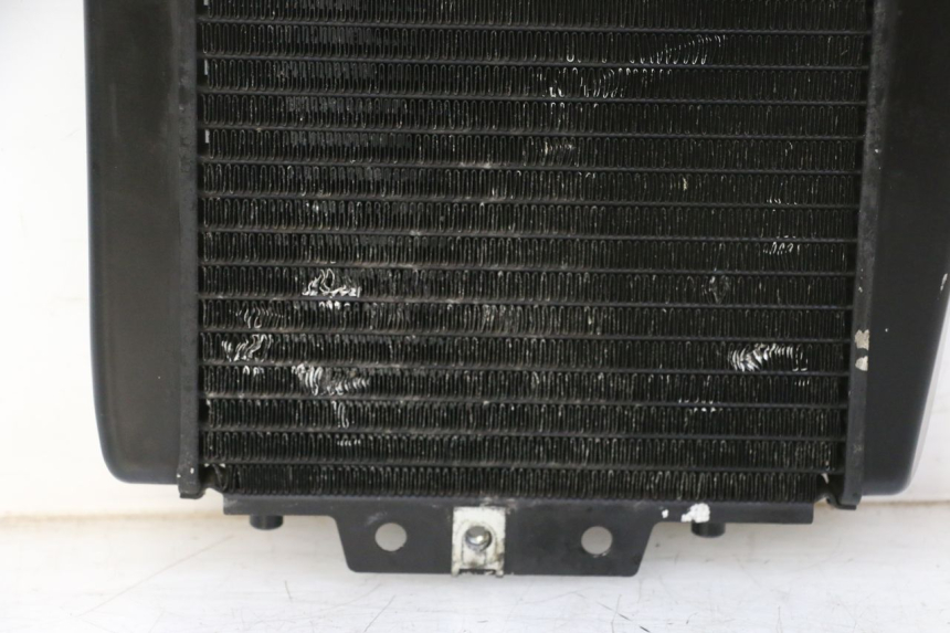 photo de RADIATEUR PIAGGIO MP3 RL 250 (2007 - 2010)