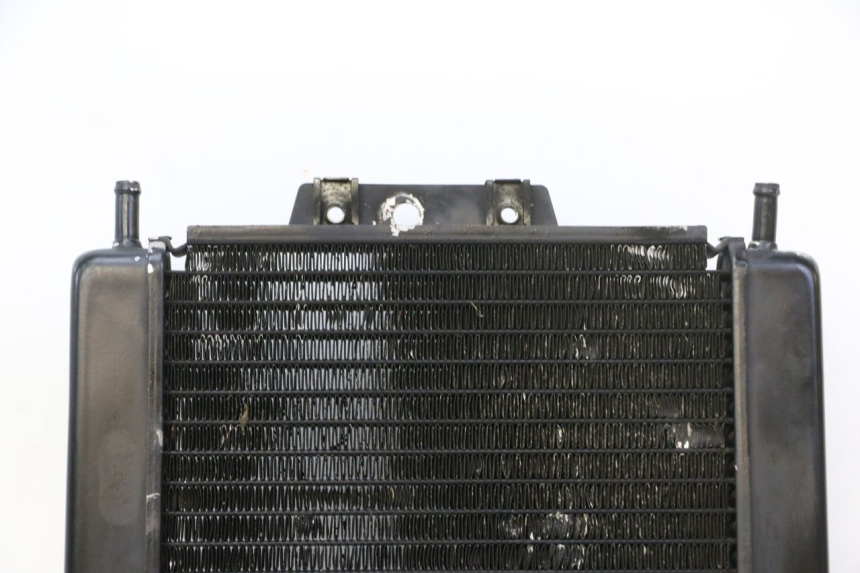 photo de RADIATEUR PIAGGIO MP3 RL 250 (2007 - 2010)