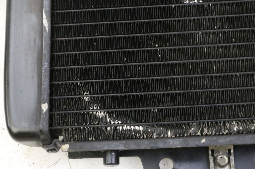 photo de RADIATEUR PIAGGIO MP3 RL 250 (2007 - 2010)