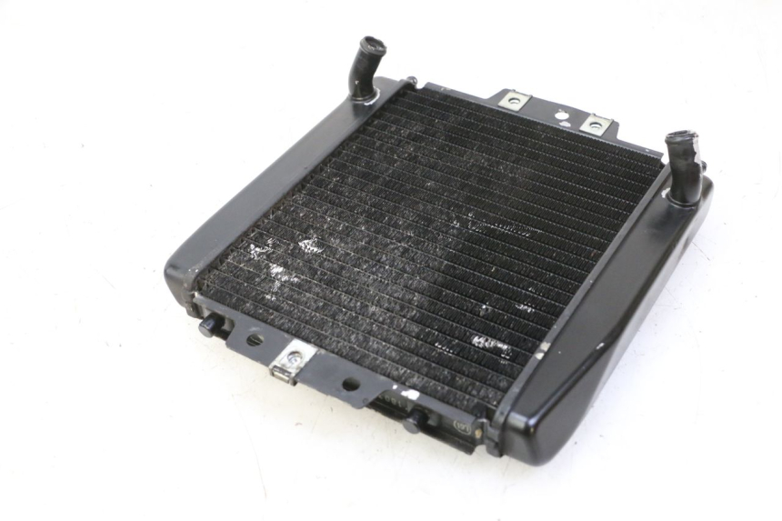 photo de RADIATEUR PIAGGIO MP3 RL 250 (2007 - 2010)