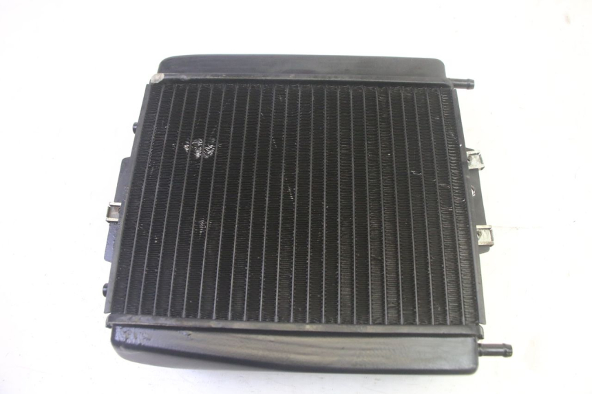 photo de RADIATEUR PIAGGIO MP3 RL 250 (2007 - 2010) - Vue principale