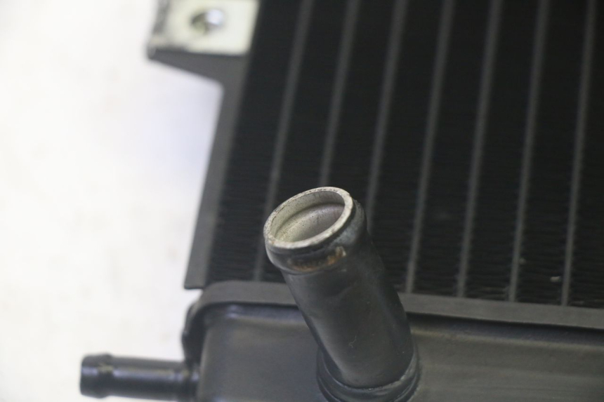 photo de RADIATEUR PIAGGIO MP3 RL 250 (2007 - 2010) - Vue produit