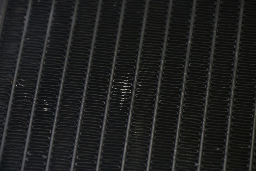 photo de RADIATEUR PIAGGIO MP3 RL 250 (2007 - 2010) - Zoom état d’usage