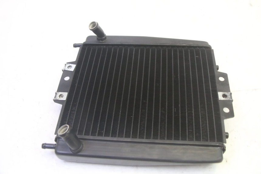 photo de RADIATEUR PIAGGIO MP3 RL 250 (2007 - 2010) - État de surface