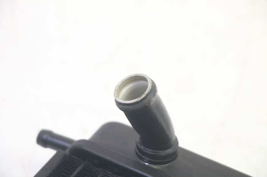 photo de RADIATEUR PIAGGIO MP3 RL 250 (2007 - 2010) - Marquages et références