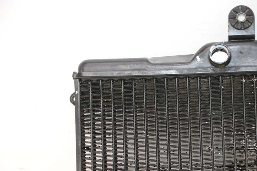 photo de RADIATEUR HONDA NSR R 125 (1994 - 2003) - Marquages et références