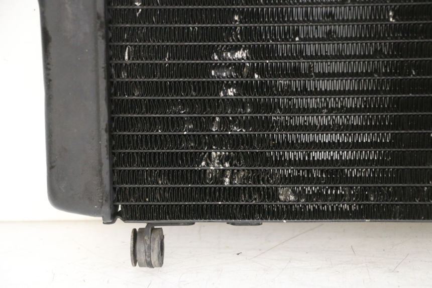 photo de RADIATEUR HONDA NTV DEAUVILLE 650 (2001 - 2006)