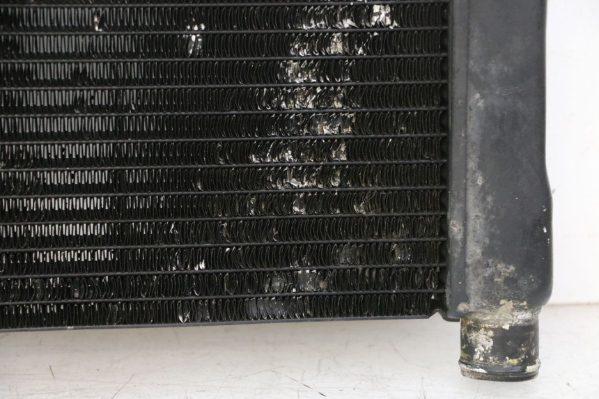 photo de RADIATEUR HONDA NTV DEAUVILLE 650 (2001 - 2006)