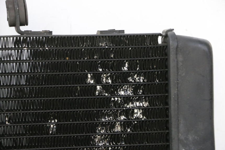 photo de RADIATEUR HONDA NTV DEAUVILLE 650 (2001 - 2006)