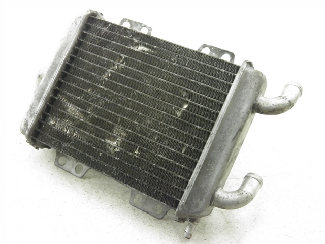 photo de RADIATEUR PEUGEOT ELYSEO 125 (1999 - 2004)