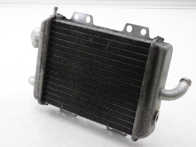photo de RADIATEUR PEUGEOT ELYSTAR 125 (2002 - 2007)