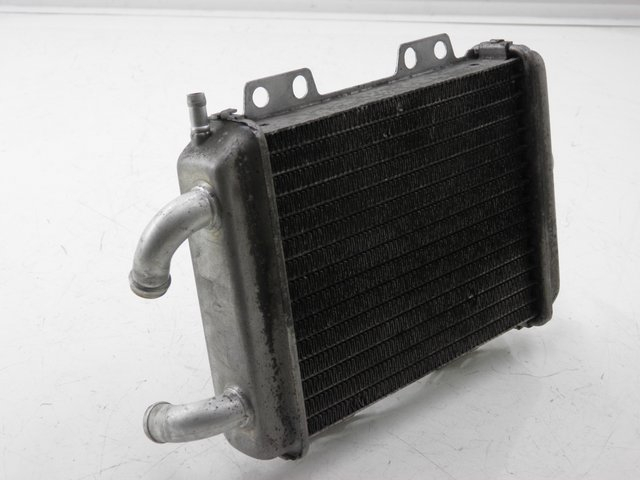 photo de RADIATEUR PEUGEOT ELYSTAR 125 (2002 - 2007)
