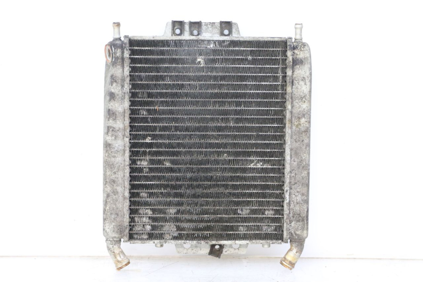 photo de RADIATEUR PIAGGIO X8 125 (2004 - 2007)