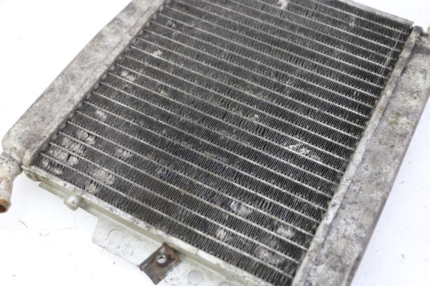 photo de RADIATEUR PIAGGIO X8 125 (2004 - 2007)