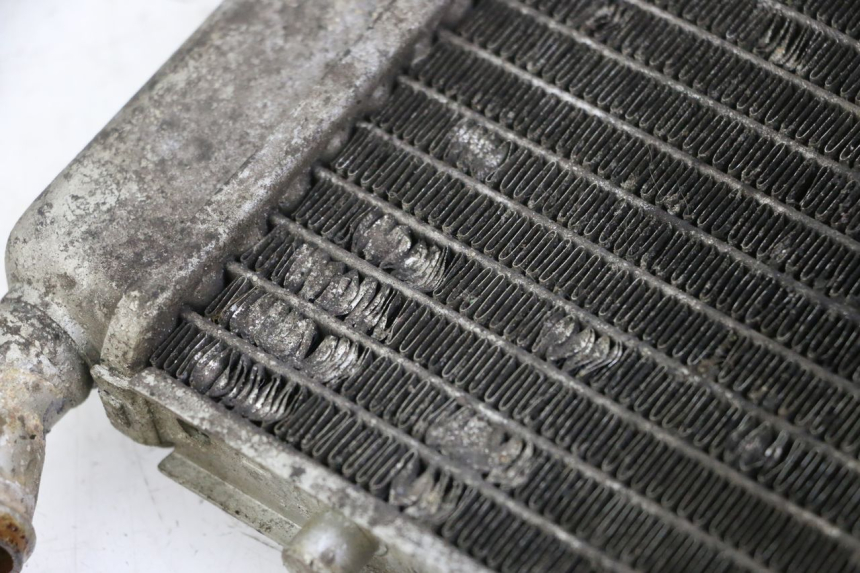 photo de RADIATEUR PIAGGIO X8 125 (2004 - 2007)