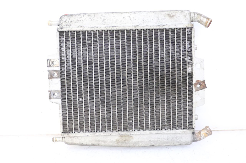 photo de RADIATEUR PIAGGIO X8 125 (2004 - 2007)