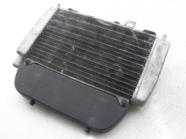 photo de RADIATEUR PIAGGIO X9 EVOLUTION 125 (2003 - 2007)