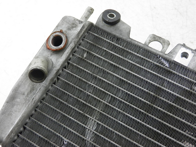 photo de RADIATEUR PIAGGIO X9 EVOLUTION 125 (2003 - 2007)