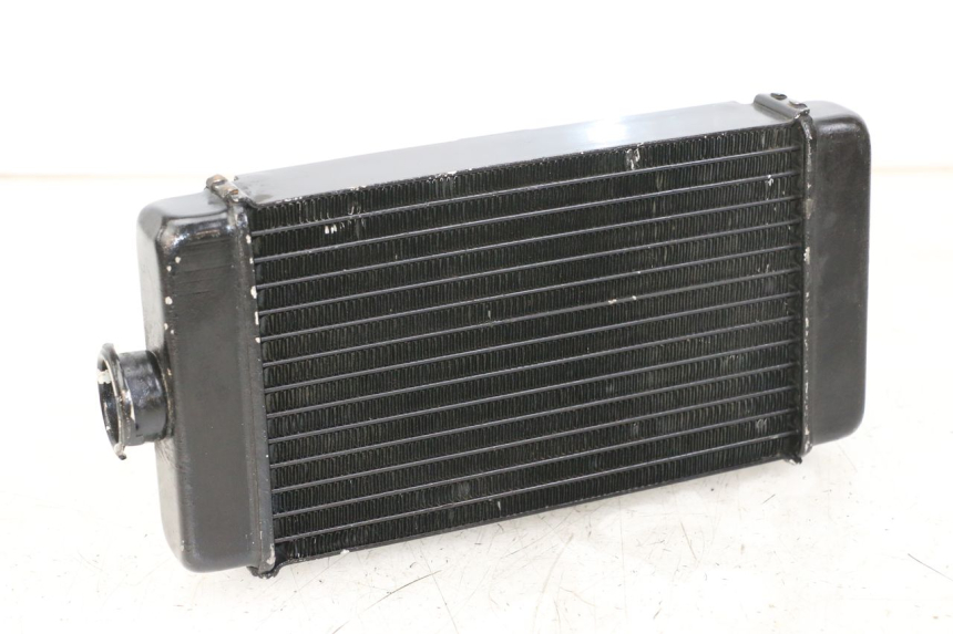 photo de RADIATEUR REGAL RAPTOR RAXTER 2 125 (2007 - 2015)