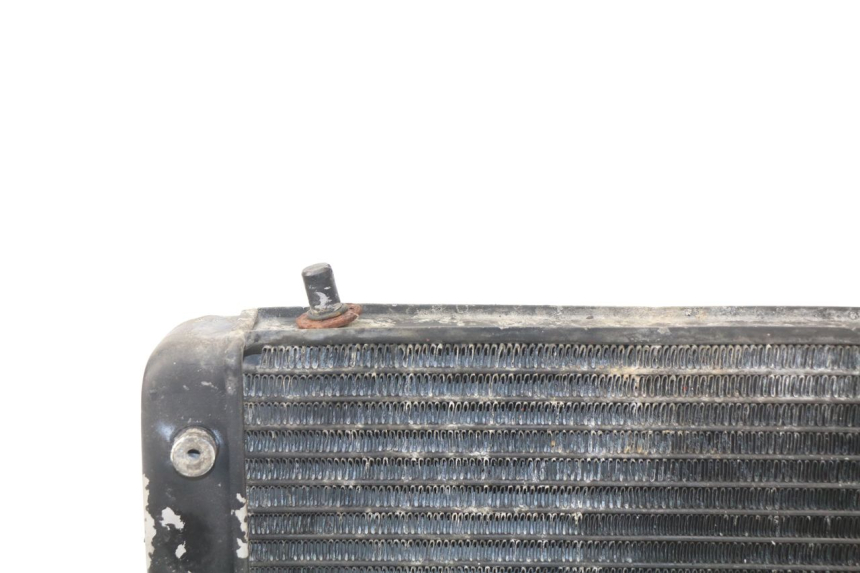 photo de RADIATEUR APRILIA RS AF-1 125 (1990 - 1993)
