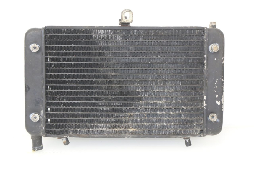 photo de RADIATEUR APRILIA RS AF-1 125 (1990 - 1993)