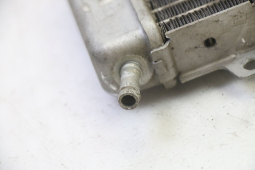 photo de RADIATEUR GILERA RUNNER SP 50 (2009 - 2017)