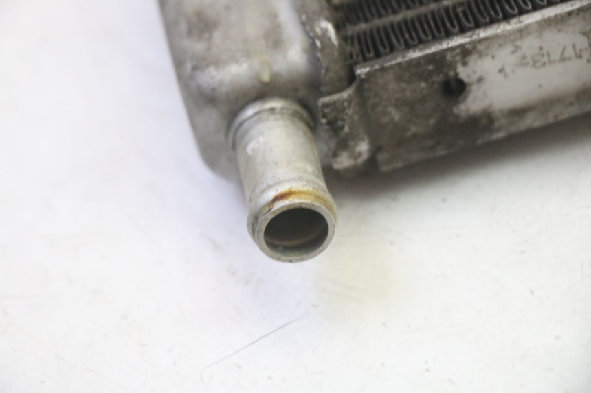 photo de RADIATEUR GILERA RUNNER SP 50 (2009 - 2017)