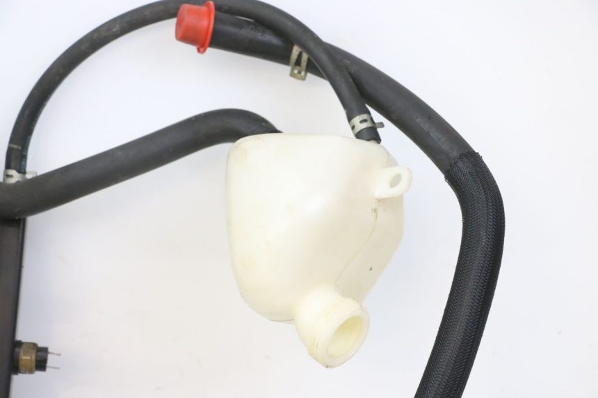 photo de RADIATEUR PEUGEOT SATELIS 125 (2010 - 2012)