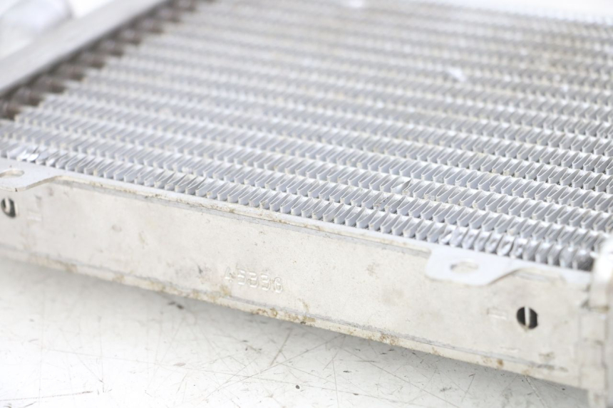photo de RADIATEUR PEUGEOT SPEEDFIGHT 2 LC 50 (2000 - 2009)