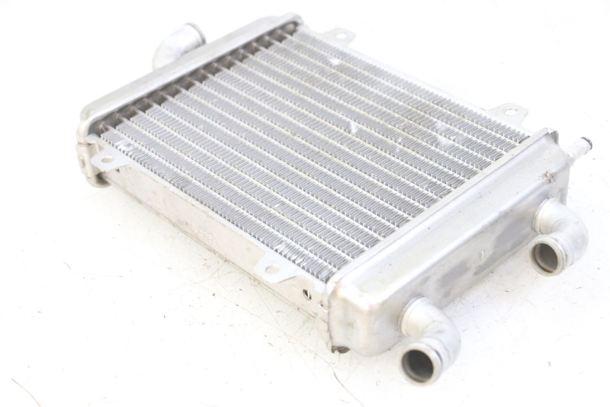 photo de RADIATEUR PEUGEOT SPEEDFIGHT 2 LC 50 (2000 - 2009)