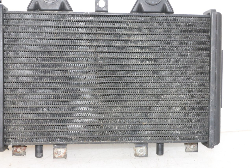 photo de RADIATEUR TRIUMPH SPRINT 900 (1995 - 1998)