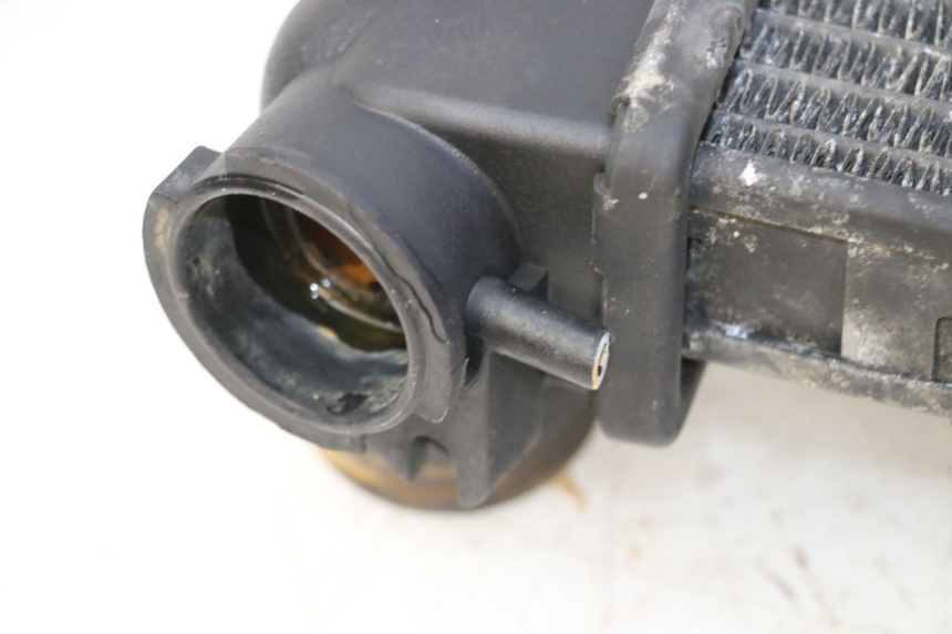 photo de RADIATEUR TRIUMPH SPRINT 900 (1995 - 1998)