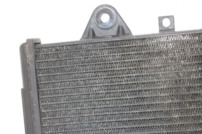 photo de RADIATEUR TRIUMPH SPRINT 900 (1995 - 1998)