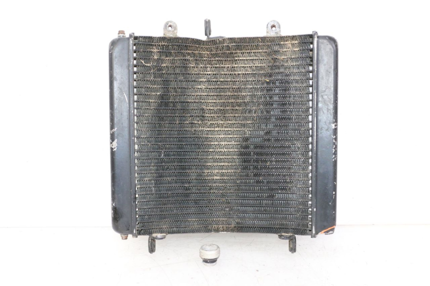photo de RADIATEUR KTM SUPERENDURO R 950 (2005 - 2009)