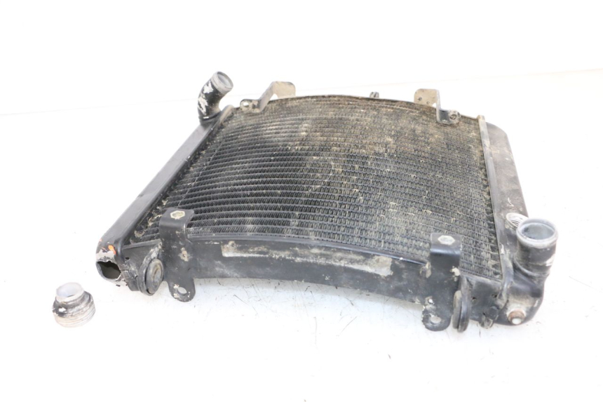 photo de RADIATEUR KTM SUPERENDURO R 950 (2005 - 2009)