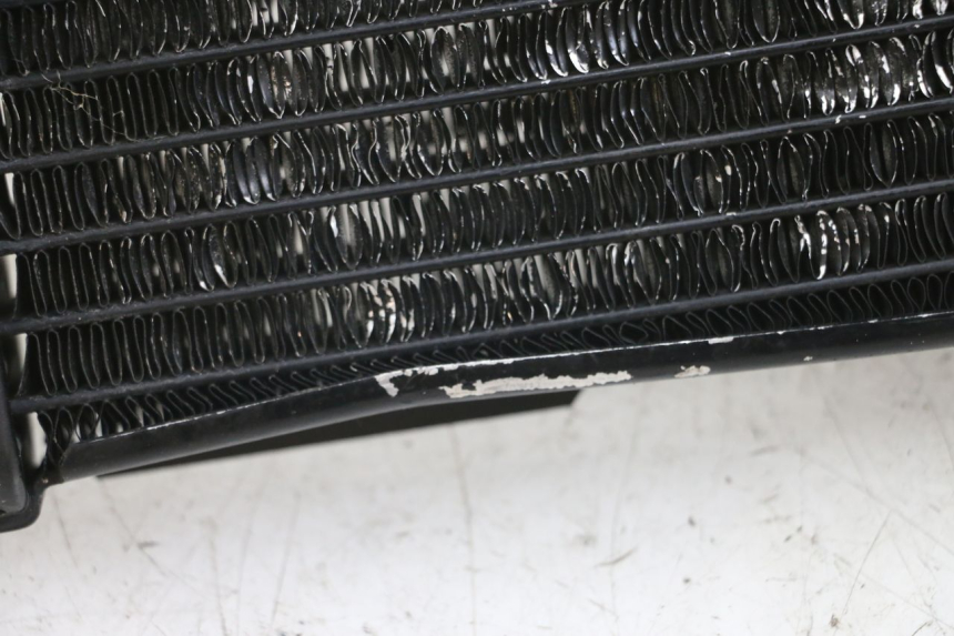 photo de RADIATEUR SUZUKI SV N 650 (1999 - 2002)