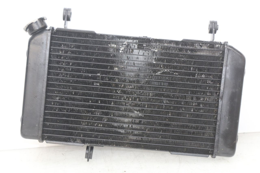 photo de RADIATEUR SUZUKI SV N 650 (1999 - 2002)