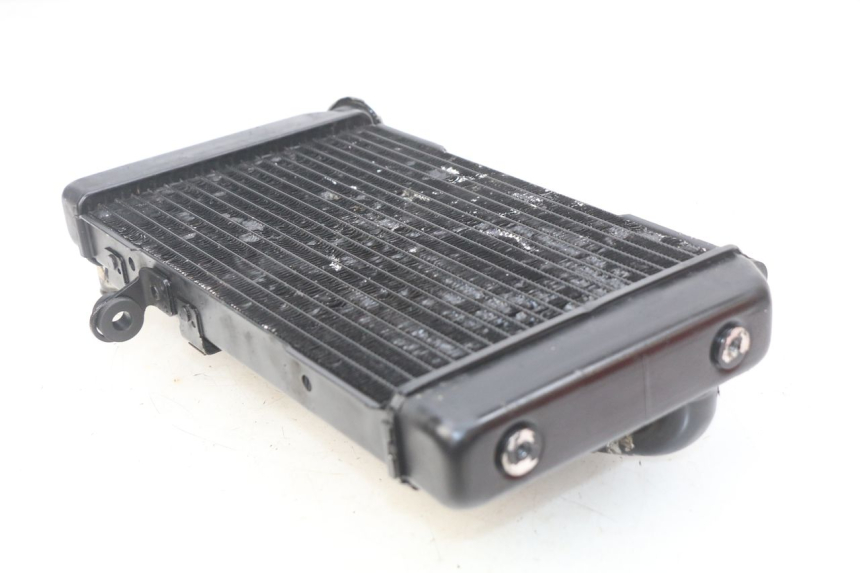 photo de RADIATEUR SUZUKI SV N 650 (1999 - 2002)