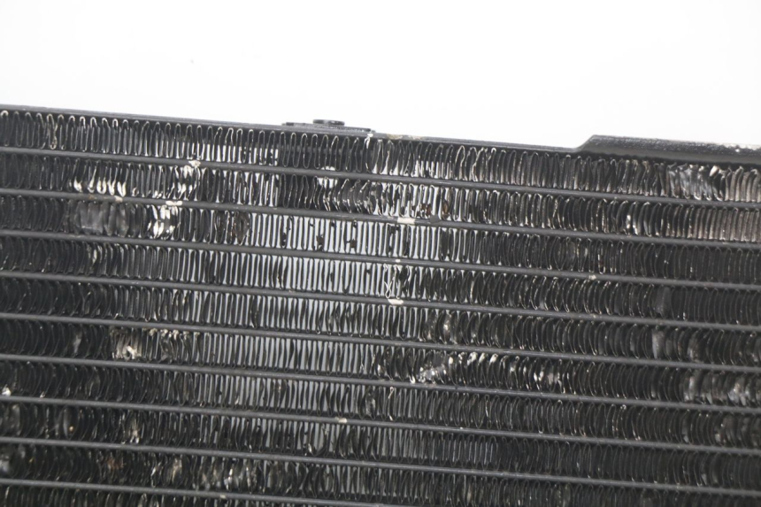 photo de RADIATEUR SUZUKI SV N 650 (1999 - 2002)