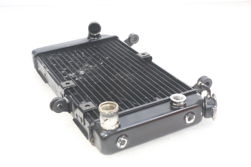 photo de RADIATEUR SUZUKI SV N 650 (1999 - 2002)