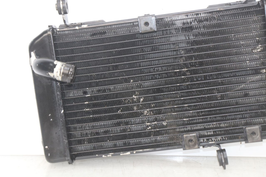 photo de RADIATEUR SUZUKI SV N 650 (1999 - 2002)