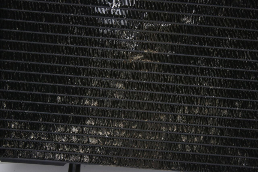 photo de RADIATEUR SUZUKI SV S 650 (1999 - 2002)